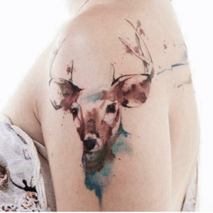 #deer #animals #watercolor 