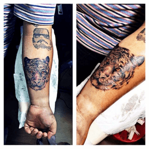 Tiger#ironhorsetattoostudio #chiangmai #Thailand #tattoo #tattoonation #inknation #inkstagram  #inked #letsgetinked #intenzeink #eternalink #stigmatophile #stigmatophiles #dotwork #dottattoo #portrait #tiger #inkaholics #tattoodailyIG: ironhorse.sFB: Iron horse tattoo studio chiang mai