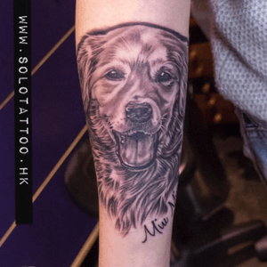 Tattoo by Kenny #tattoo #solotattoo #hongkongtattoo #pet #dog #goldenretriever #blackandgrey 