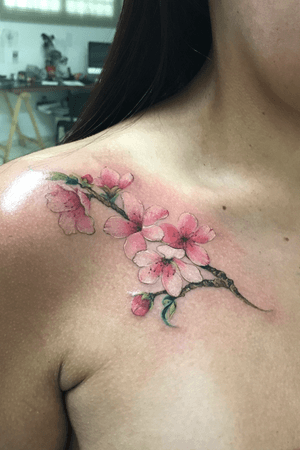 Flor de cerejeira/ cherryblossom/ sakuras by @dayanamadeira 