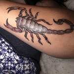 Scorpion tattoo final sitting 