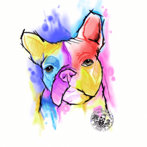 Sketch#bulldog#tattoo#colortattoo#watercolortattoo#watercolor#madeinitaly#mypassion#mylife#tattoolove#friends#MADesign#
