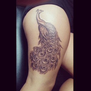 Peacock tattoo outline and shading. By Justin Jakus at Black Diamond Tattoo LA 