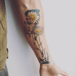 #daisytattoo #armtattoo #forearm #ink#inked #inkmen#inkedmen #margaritaflower #margaritatatto#flowertattoos 
