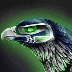 #megandreamtattoo bird of prey and seattle seahawk colors incorporated or go haida style