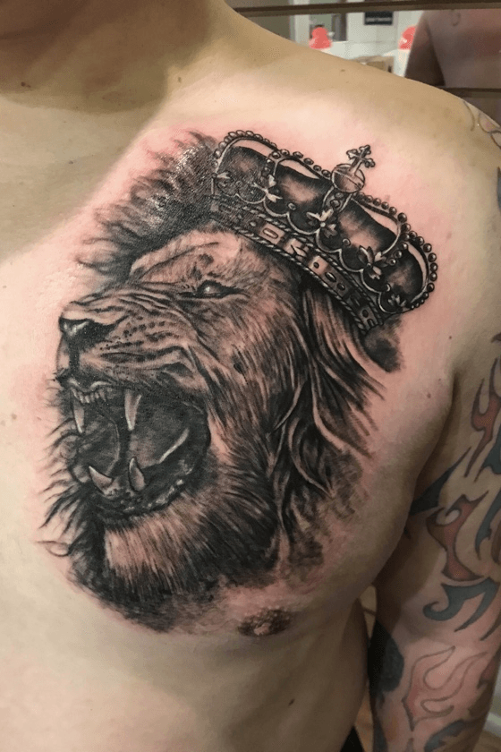 NATE FIERRO on Twitter King of the jungle tattoo on my client Zafer from  Turkey httpstcohozAxaDrhU highvoltagetattoo HighVoltageTat  httpstco3FZjd7C3x9  Twitter