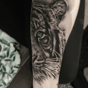 #tiger #halftiger #tigertattoo #blackandgrey  by Holly Johnson at Dannys Tattoo Collective in Nottingham