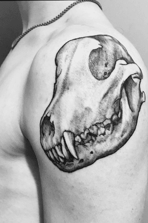 wolf skull done one me by Tad Coleman 