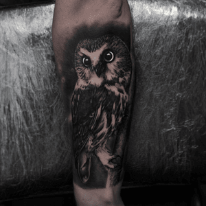 OWL #owl #owltattoo #blackandgrey #blackandgray #blackandgreytattoo #realism #realistic #nature #naturetattoo #animal #animaltattoo #radurusu #tattoo #sleevetattoo #tattoodo 