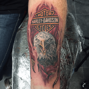 #harleydavidson #harleydavidsontattoo #eagle #skinrip #tattoo #frostbitetattoo @frostbitetattoo 