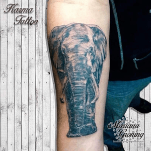 Realistic elephant tattoo#tattoo #tatuaje #color #mexicocity #marianagroning #tatuadora #karmatattoo #awesome #colortattoo #tatuajes #claveria #ciudaddemexico #cdmx #tattooartist #tattooist #elephant #elefante #realismo #realistictattoo 