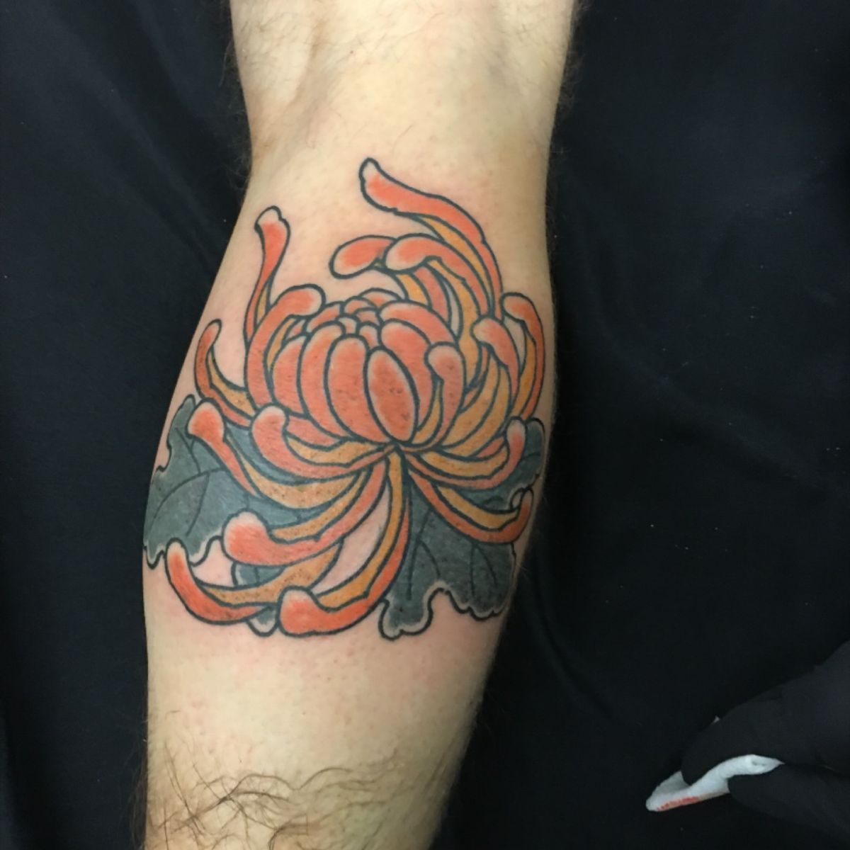 Tattoo uploaded by Wayne • Tebori chrysanthemum by Takashi Matsuba