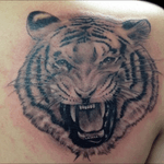 Tattoo by PeeWee Sinerco. #peewee #peeweesinerco #sinerco #blackandgray #blacksndgraytattoo #tiger #tigertattoo #westbury #tat #tats #tatts #tatted #tattoo #tattoos #tattedup #tattoist #tattooed #tattoooftheday #usa #inked #inkedup #ink #tattoooftheday #art #amazingink #longisland #larktattoo #larktattoos #larktattoowestbury #bodyart #tattooig #tattoososinstagram #instatats #blacksndgreytattoo #blacksndgrey #animal #animals #animaltattoo #animaltattoos #realisticanimal #realisticanimaltattoo #realism #realistic #realistictattoo #realistictattoos #realismtattoo #realismtattoos 