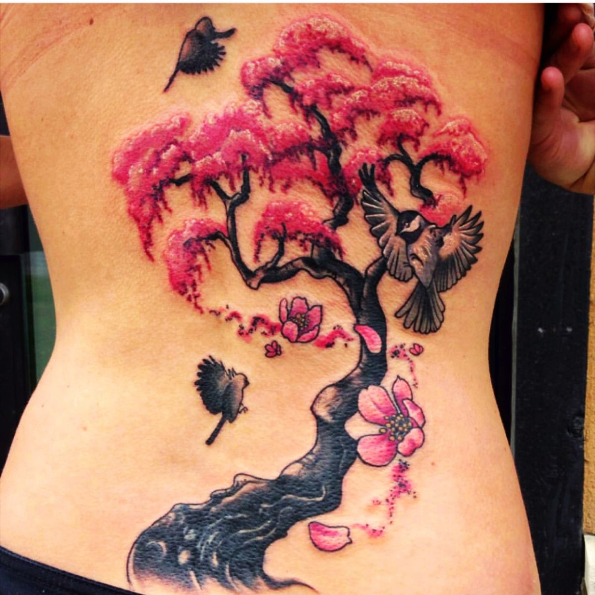 Tattoo uploaded by Tara • Artist #vongray#tree#cherryblossomtattoo #birds •  Tattoodo