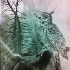#owl #drawing 