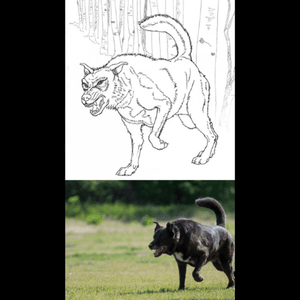 Line drawing and photo of my tattoo planned for Friday. Getting my loyal dog on my back, so he'll always have my back. 