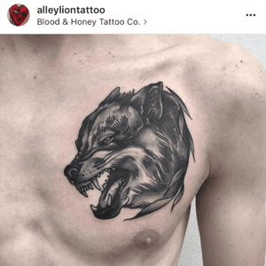Wolf head chest piece done at blood and honey cheltenham