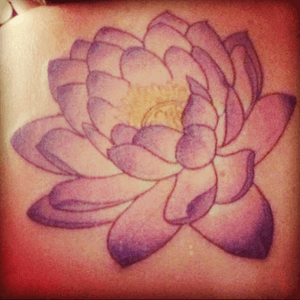 My beautiful lotus flower