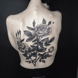 rose back piece #roses #englishroses #backpiece #blackandgray #RoseTattoos 