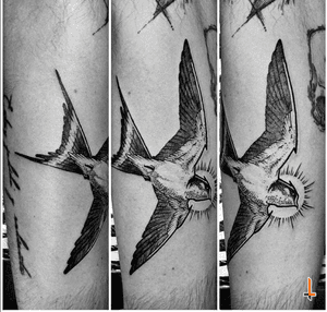 Nº609 #tattoo #tatooed #ink #inked #boywithtattoos #sparrow #sparrowtattoo #bird #birdtattoo #flying #wings #stencilstuff #dynamicink #dynamiccolor #cheyennetattooequipment #cheyennetattoo #hawkpen #soulflowercartridges #bylazlodasilva Based on another artist design