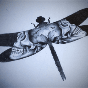 Verbindet man die Kraft der Libelle mit der Vergänglichkeit des Tades, endsteht eine besondere Tattoo Vorlage. Dragonfly-Skull Tattoo. #Libelle #dragonfly #realistic #abstract #tattoo #draw #flash #black #grey #skull #death #moko #tattoostudio #merzig