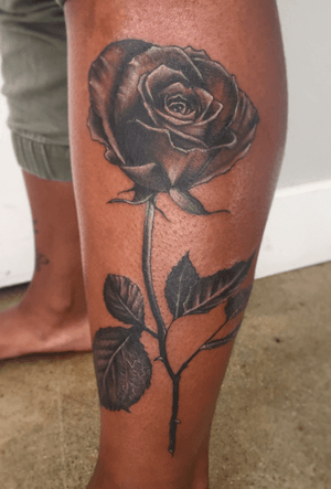 Black and gray rose