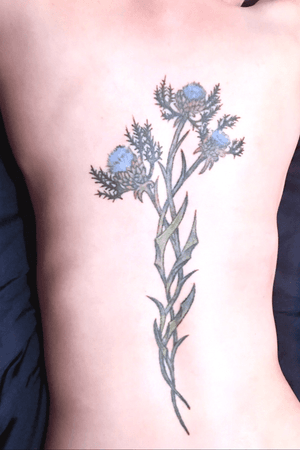 First tat, Scottish thistle. Symbolizes perseverance through adversity. It’s my clan’s badge and the national symbol of Scotland.