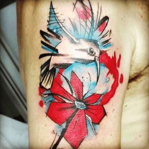 #tattoo #beijaflor #tatuagem #jeffinhotattow 