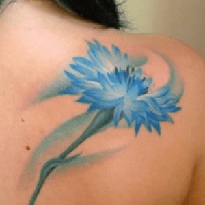 #blue #cornflower #longstem #hope #mnd #welove #flower