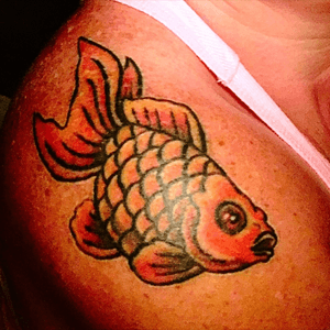 My first of 16 goldfish i'll be getting to create a shoulder/back/chest piece. Done by the amazing Dan at Purple Heart Tattoo in Jacksonville, NC #goldfish #shoulderfish #purplehearttattoo