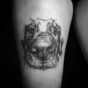 Dog for Marta #tattoo #tattoos #legs #lagtattoos #blackwork #blackworkers #blackworkerssubmission #tattooed #tattoooftheday #tattooart #inkedgirl #ink #inkedup #dog #dogstagram #dogtattoo #sketch #sketchstyle #polishtattoo #poland #warsaw