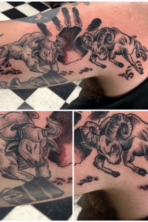 Ram vs. bull completed zodiac tattoo. 