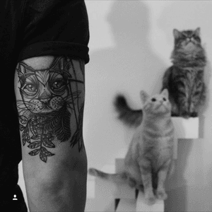 Wish it was Caturday all over again #caturday #cats #cattattoo #guyswithtattoos #inked 