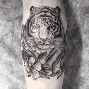 My work. #tiger #hachura #blackandgreytattoos #tigertattoo #Tattoodo 