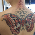 #butterfly #moth #dotwork #color  @frederickbain artist #FrederickBain #megandreamtattoo 