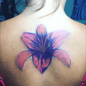 Cover up lilies 