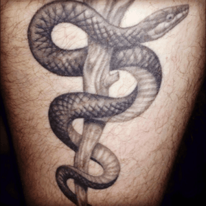 Staff of asclepius done by Reed Leslie in Anchorage, AK