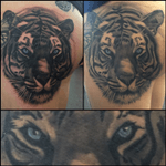 All healed #tattoo #healedtattoo #blackandgreytattoo #tigertattoo 