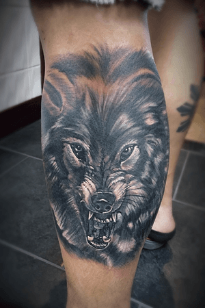 Cover-up wolf