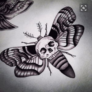 another #moth. #skull #black #pinterest 