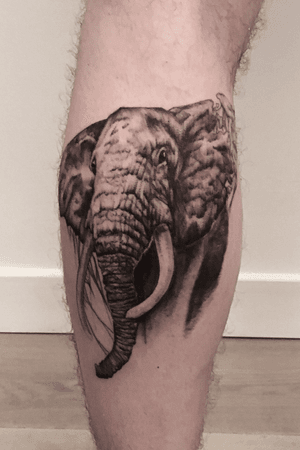 Realistic elephant #whipshade #blackandgrey #realistictattoo by @mayblue 