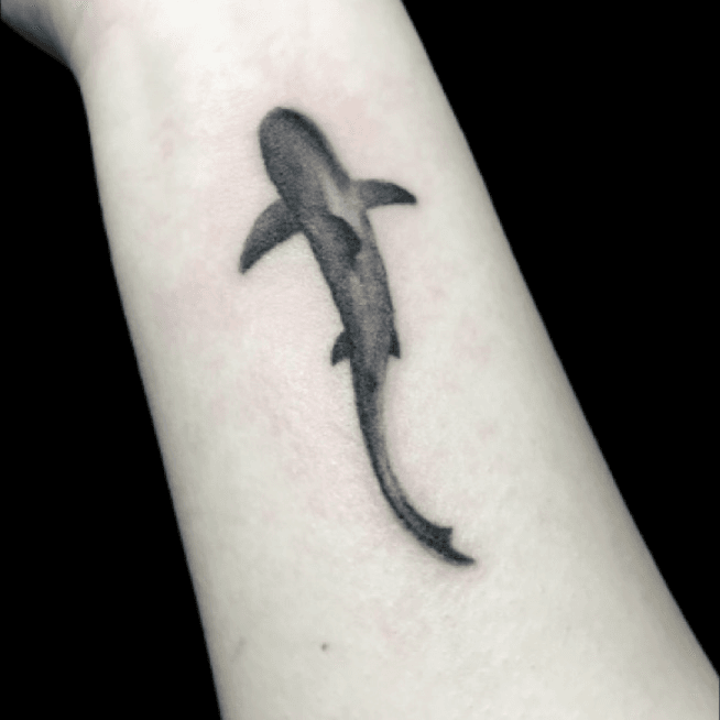 Earthbound Ink  Little shark  awsome sit for a first tattoo By  theamberfae To schedule your next appointment email  Infoearthboundinktattoocom     sharktattoo blackandgreytattoo  earthboundink earthboundinktattoos theamberfae 