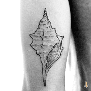 Nº386 #tattoo #tattooed #ink #inked #shell #shelltattoo #sea #seacreature #seashell #exoskeleton #mollusk #bylazlodasilva Designed in collab with marksurfer