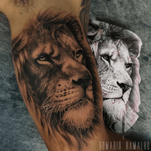 Work done by @romarioramalhoo #tattooleao #leaotattoo #tattoolion #liontattoo #lionofthetribeofjudah 