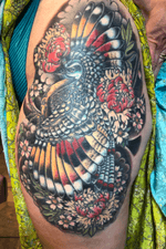 Japanese inspired sun bittern (if you haven’t heard if them, look them up. They’re neat birds!) Healed about 4 years. Did a quick refresh in the windbars and some of the reds. 