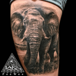 Tattoo by Lark Tattoo artist PeeWee #elephant #elephanttattoo #realistictattoo #animaltattoo #bng #bngtattoo #blackandgraytattoo #blackandgreytattoo #tattoo #tattoos #tat #tats #tatts #tatted #tattedup #tattoist #tattooed #tattoooftheday #inked #inkedup #ink #tattoooftheday #amazingink #bodyart #tattooig #tattoosofinstagram #instatats #larktattoo