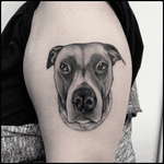 #totemica #tunguska #black #dog #portrait #pet #riot #tattoo #blackworkers #originalsintattooshop 