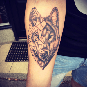 Geometric wolf#tattoo #wolftattoo #geometrictattoo #glackandgrey #tattooapprentice 