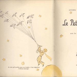 My #dreamtatto and my #firsttattoo needs to be about #LePetitPrince it's a truly beautiful book, please @amijames make my dream come true! 