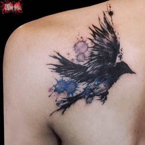 Love the feathers #bird #blackbird #watercolor #sketch 